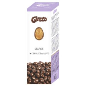 Gusto Milk Chocolate & Raisins