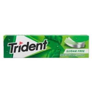 Trident Spearmint Gum 13.5G