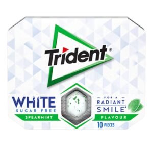 Trident Dental Care White Spearmint Gum 17G