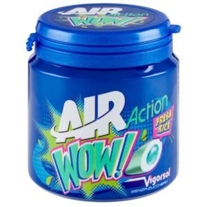 Mentos Pure Fresh Winter Green Gum 100G