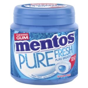 Mentos Pure Fresh Fresh Mint Gum 100G