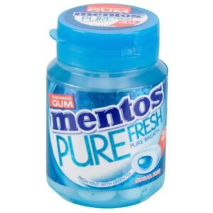 Mentos Pure Fresh Fresh Mint Gum 60G