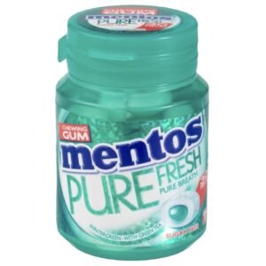 Mentos Pure Fresh Winter Green Gum 60G