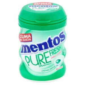 Mentos Pure Fresh Spearmint Gum 60G