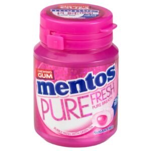 Mentos Pure Fresh Bubble Fresh Gum 60G