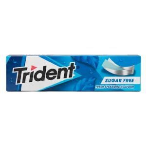 Trident Peppermint Gum 13.5G
