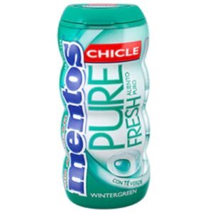 Mentos Pocket Pure Fresh Winter Green Gum 30G