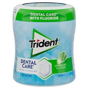 Trident Dental Care Spearmint Gum 68G