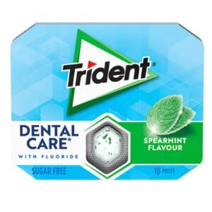 Trident Dental Care Spearmint Gum 17G