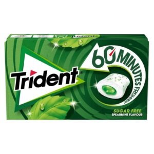 Trident 60 Minutes Spearmint Gum 22G