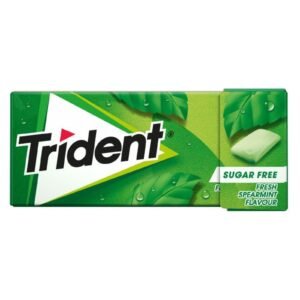 Trident Spearmint Gum 14G