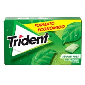 Trident Spearmint Gum 23.8G