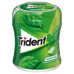 Trident Spearmint Gum 82.6G