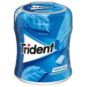 Trident Peppermint Gum 82.6G